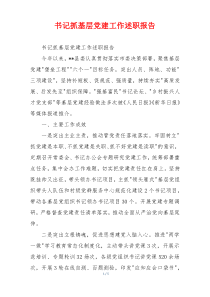书记抓基层党建工作述职报告