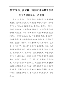 在严规矩强监督转作风集中整治形式主义专项行动会上的发言