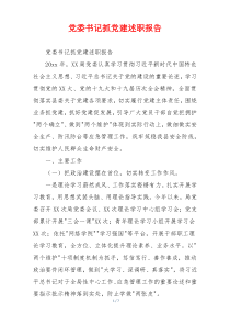 党委书记抓党建述职报告