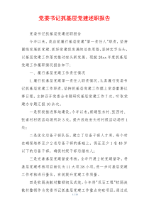 党委书记抓基层党建述职报告
