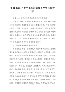 乡镇2025上半年工作总结和下半年工作计划