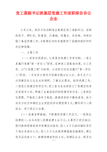党工委副书记抓基层党建工作述职报告非公企业
