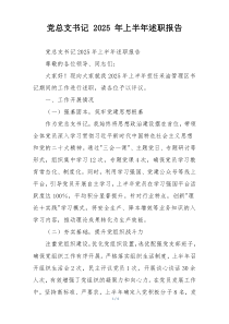 党总支书记 2025 年上半年述职报告