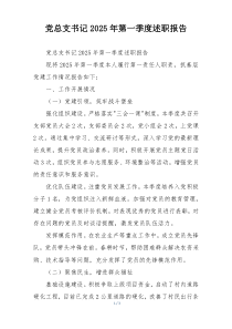 党总支书记2025年第一季度述职报告