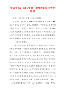 党总支书记2025年第一季度述职报告党建述职