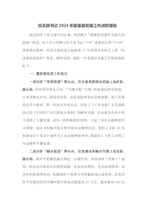 党支部书记2024年度基层党建工作述职报告