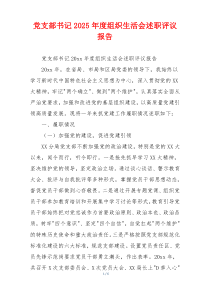 党支部书记2025年度组织生活会述职评议报告