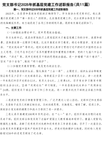 党支部书记2025年抓基层党建工作述职报告11篇（精选）