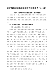 党支部书记抓基层党建工作述职报告（精选13篇）