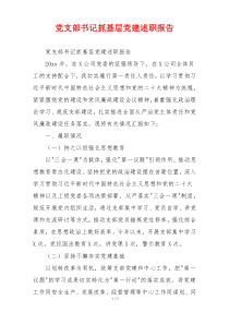 党支部书记抓基层党建述职报告