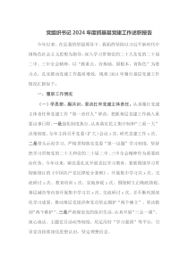 党组织书记2024年度抓基层党建工作述职报告