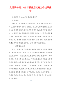 党组织书记2025年抓基层党建工作述职报告
