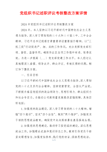 党组织书记述职评议考核整改方案详情