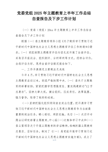 党委党组2025年主题教育上半年工作总结自查报告及下步工作计划