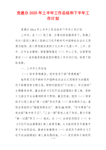 党建办2025年上半年工作总结和下半年工作计划