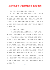 公司党总支书记抓基层党建工作述职报告