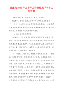 党建处2025年上半年工作总结及下半年工作计划
