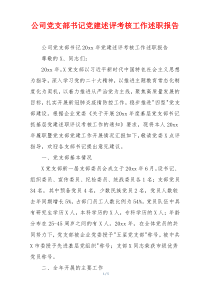 公司党支部书记党建述评考核工作述职报告