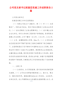 公司党支部书记抓基层党建工作述职报告2篇