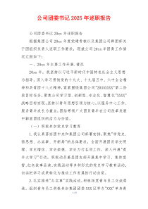 公司团委书记2025年述职报告