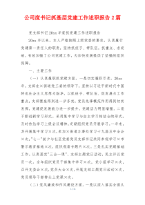 公司度书记抓基层党建工作述职报告2篇