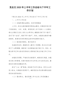 党总支2025年上半年工作总结与下半年工作计划