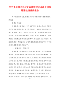 关于党组织书记抓党建述职评议考核反馈问题整改情况的报告