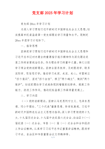 党支部2025年学习计划