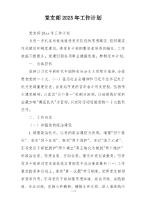党支部2025年工作计划