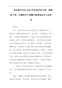 [领导讲话]县纪委书记在2025年全县年轻干部新提拔干部关键岗位干部警示教育座谈会上的讲话