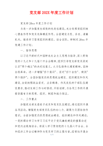 党支部202X年度工作计划