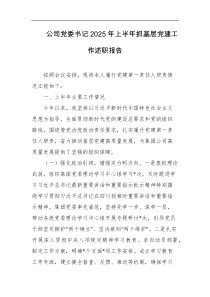 公司党委书记2025年上半年抓基层党建工作述职报告