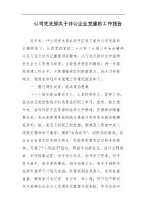 公司党支部关于非公企业党建的工作报告