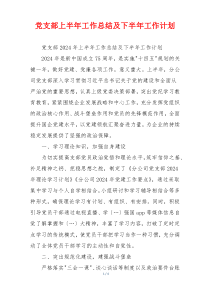 党支部上半年工作总结及下半年工作计划