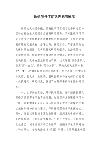 县级领导干部现实表现鉴定