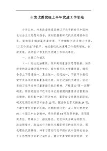 市发改委党组上半年党建工作总结