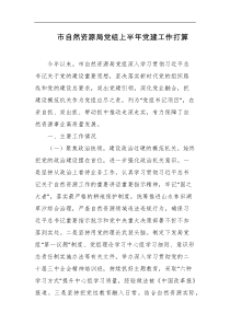 市自然资源局党组上半年党建工作打算