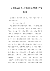 组织部2025年上半年工作总结和下半年工作计划