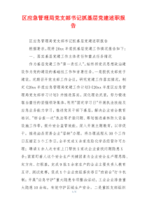区应急管理局党支部书记抓基层党建述职报告