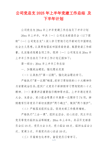 公司党总支2025年上半年党建工作总结 及下半年计划