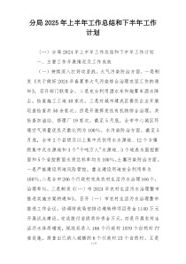 分局2025年上半年工作总结和下半年工作计划