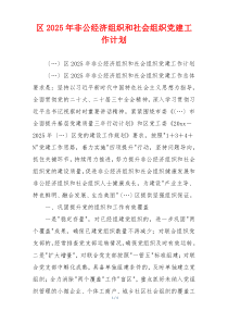 区2025年非公经济组织和社会组织党建工作计划