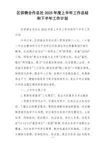 区供销合作总社2025年度上半年工作总结和下半年工作计划