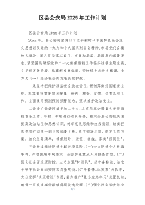 区县公安局2025年工作计划