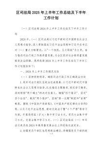区司法局2025年上半年工作总结及下半年工作计划