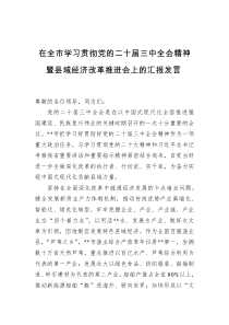 在全市学习贯彻党的二十届三中全会精神暨县域经济改革推进会上的汇报发言