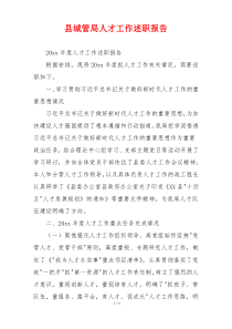 县城管局人才工作述职报告