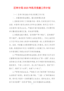 区审计局2025年机关党建工作计划