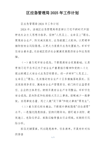 区应急管理局2025年工作计划