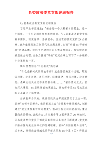 县委政法委党支部述职报告